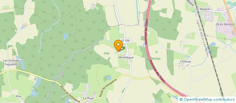 localisation de l'entreprise MADAME CAROLINE CHOCAT  DRUILLAT