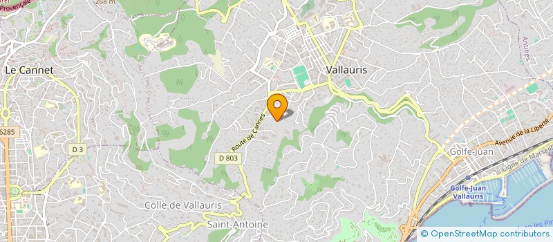 localisation de l'entreprise MADAME CAROLINE CHOMBART  VALLAURIS
