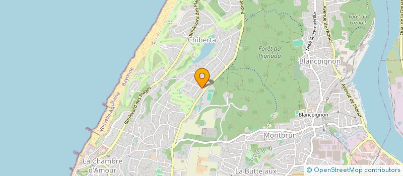 localisation de l'entreprise MADAME CAROLINE DELAHOUSSE  ANGLET