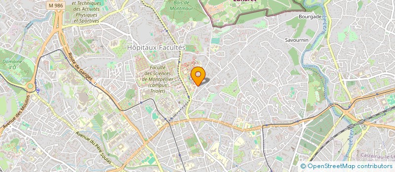 localisation de l'entreprise MADAME CAROLINE DESPLAN à MONTPELLIER