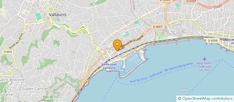 localisation de l'entreprise MADAME CAROLINE DI RENZO  VALLAURIS