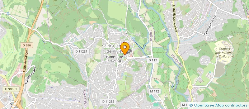 localisation de l'entreprise MADAME CAROLINE DUPUIS  SAINT-CLEMENT-DE-RIVIERE