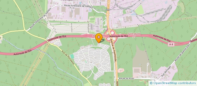 localisation de l'entreprise MADAME CAROLINE FISCHER  SAINT-AVOLD