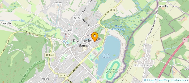 localisation de l'entreprise MADAME CAROLINE FLORIS  DIVONNE-LES-BAINS