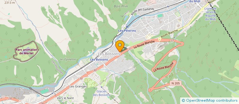 localisation de l'entreprise MADAME CAROLINE GRIFFITHS  CHAMONIX-MONT-BLANC