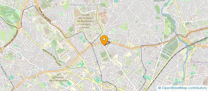 localisation de l'entreprise MADAME CAROLINE HOUG à MONTPELLIER
