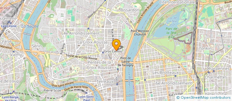 localisation de l'entreprise MADAME CAROLINE JAILLET à LYON