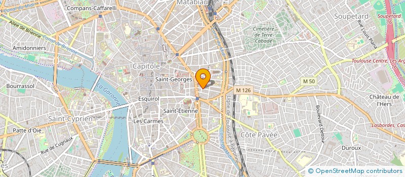 localisation de l'entreprise MADAME CAROLINE LADUYE à TOULOUSE
