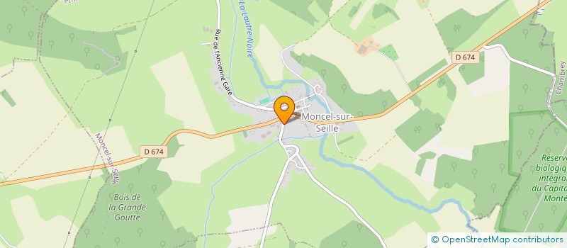 localisation de l'entreprise MADAME CAROLINE LEROY  MONCEL-SUR-SEILLE