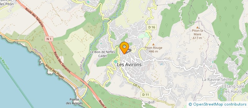 localisation de l'entreprise MADAME CAROLINE MANCHADI  LES AVIRONS