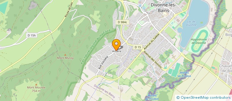 localisation de l'entreprise MADAME CAROLINE OSEWE  DIVONNE-LES-BAINS