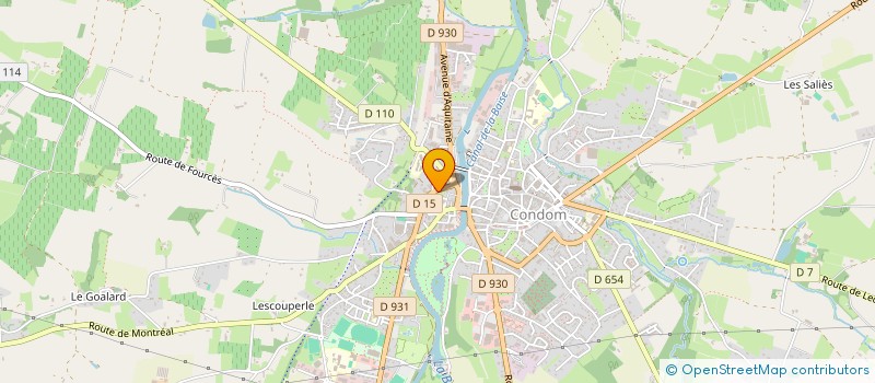 localisation de l'entreprise MADAME CAROLINE PALAZOT  CONDOM