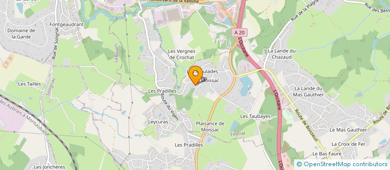 localisation de l'entreprise MADAME CAROLINE PLUVIAUD LAPLAUD  LE PALAIS-SUR-VIENNE