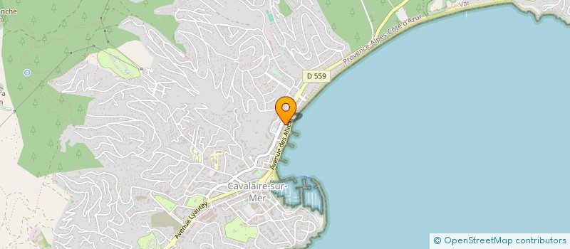 localisation de l'entreprise MADAME CAROLINE RESDIKIAN à CAVALAIRE-SUR-MER