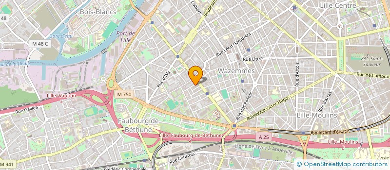localisation de l'entreprise MADAME CAROLINE ROY à LILLE