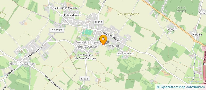 localisation de l'entreprise MADAME CAROLINE STONS  SAINT-GEORGES-DES-COTEAUX