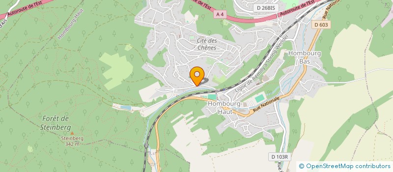 localisation de l'entreprise MADAME CAROLINE TOMASINO  HOMBOURG-HAUT