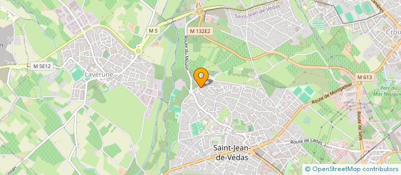 localisation de l'entreprise MADAME CAROLINE TOURNAMILLE  SAINT-JEAN-DE-VEDAS