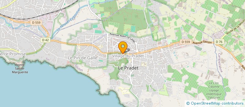 localisation de l'entreprise MADAME CAROLINE VIGNERAS  LE PRADET