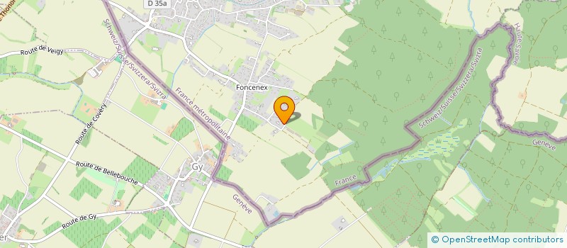 localisation de l'entreprise MADAME CASSANDRA AGOSTINELLI  VEIGY-FONCENEX