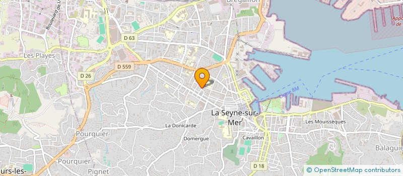 localisation de l'entreprise MADAME CASSANDRA DEMETRIO  LA SEYNE-SUR-MER