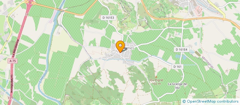 localisation de l'entreprise MADAME CASSANDRA PINTO  MONTAGNAC