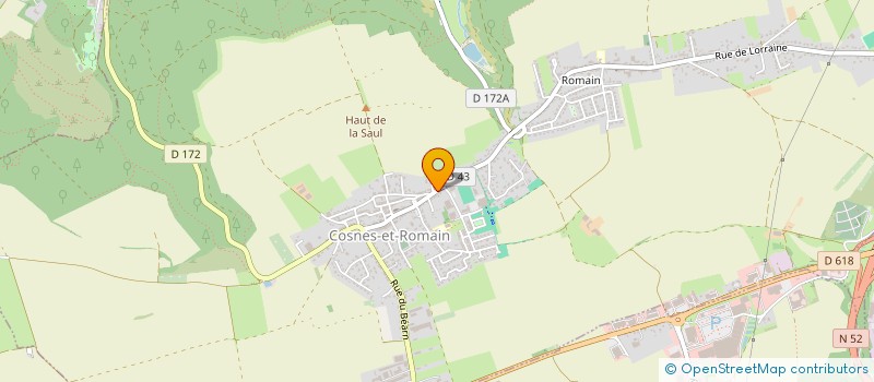 localisation de l'entreprise MADAME CASSANDRE KOPCZYNSKI  COSNES-ET-ROMAIN