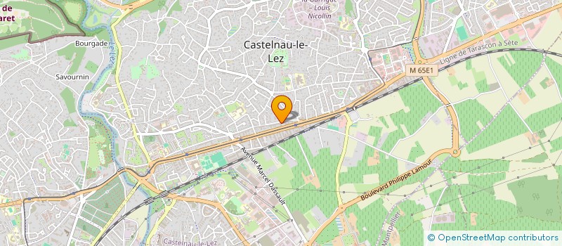 localisation de l'entreprise MADAME CASSANDRE NOGUERA à CASTELNAU-LE-LEZ