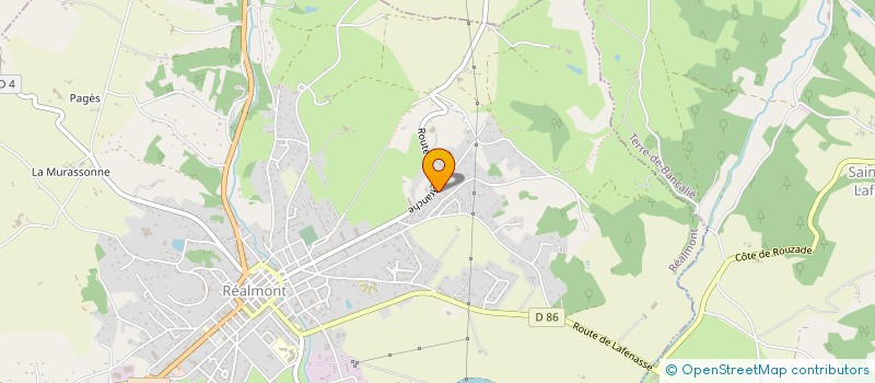 localisation de l'entreprise MADAME CATHERINE BEZIAT  REALMONT