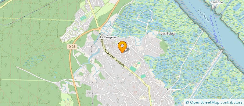 localisation de l'entreprise MADAME CATHERINE BORSCHNECK  LA TREMBLADE