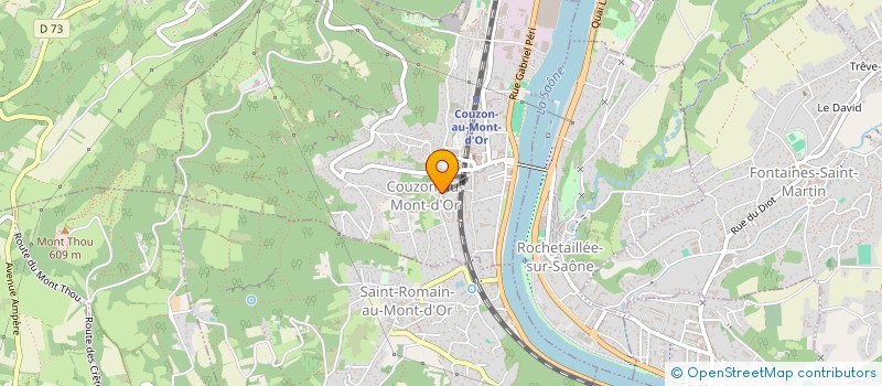 localisation de l'entreprise MADAME CATHERINE BRANDON  COUZON-AU-MONT-D'OR