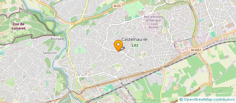 localisation de l'entreprise MADAME CATHERINE BUFFE à CASTELNAU-LE-LEZ