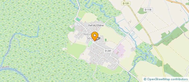 localisation de l'entreprise MADAME CATHERINE DEFOSSEZ  NIEULLE-SUR-SEUDRE