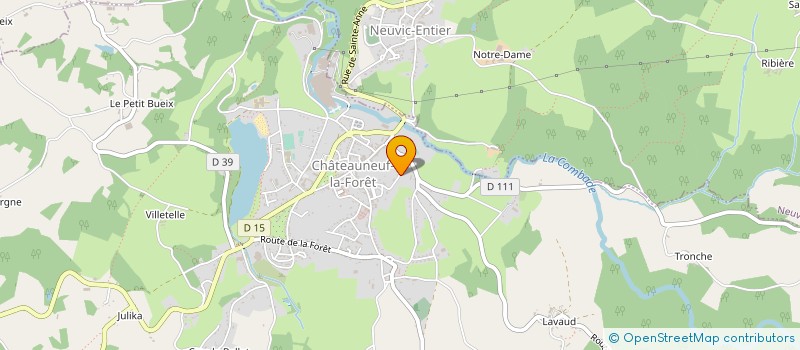 localisation de l'entreprise MADAME CATHERINE DELMAS  CHATEAUNEUF-LA-FORET