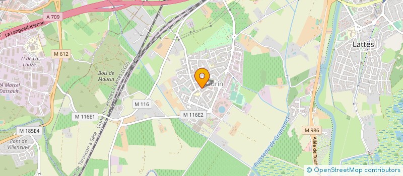 localisation de l'entreprise MADAME CATHERINE DROGUE à LATTES