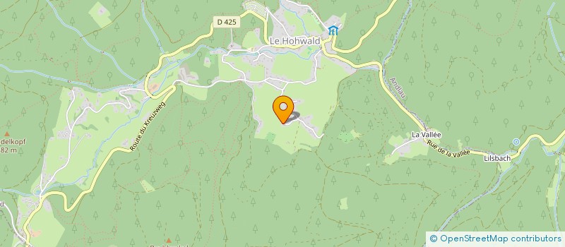 localisation de l'entreprise MADAME CATHERINE FISCHER  LE HOHWALD