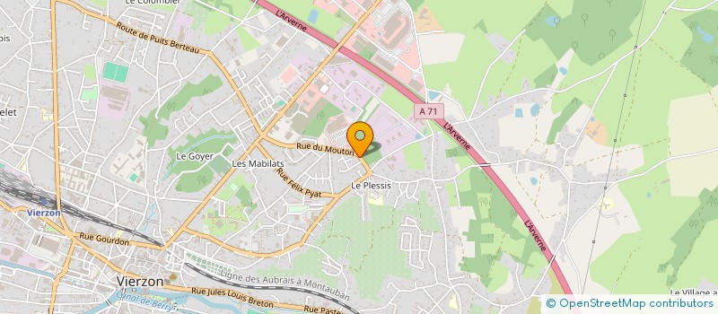 localisation de l'entreprise MADAME CATHERINE FRANCOIS  VIERZON