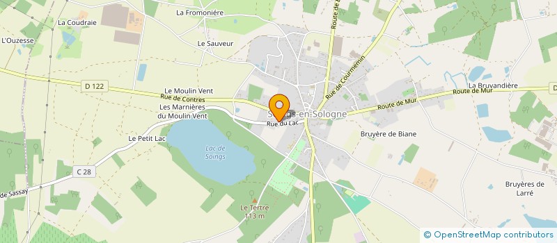 localisation de l'entreprise MADAME CATHERINE GIAMBARRESI  SOINGS-EN-SOLOGNE