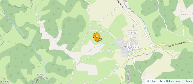 localisation de l'entreprise MADAME CATHERINE GIROUX  VIELLESEGURE