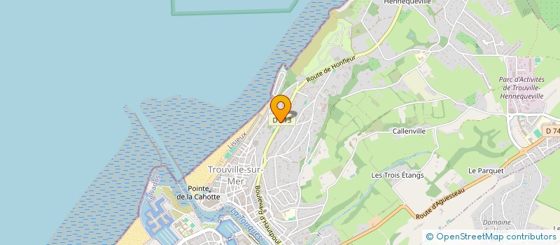 localisation de l'entreprise MADAME CATHERINE JANIN  TROUVILLE-SUR-MER