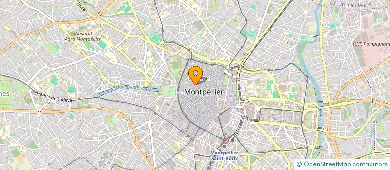 localisation de l'entreprise MADAME CATHERINE LESOIN à MONTPELLIER