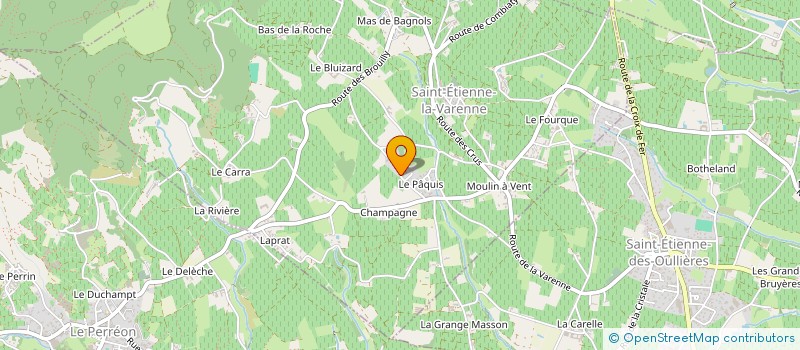 localisation de l'entreprise MADAME CATHERINE LONEUX  SAINT-ETIENNE-LA-VARENNE