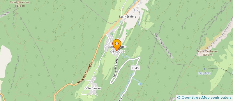 localisation de l'entreprise MADAME CATHERINE MIGUET  SAINT-THIBAUD-DE-COUZ