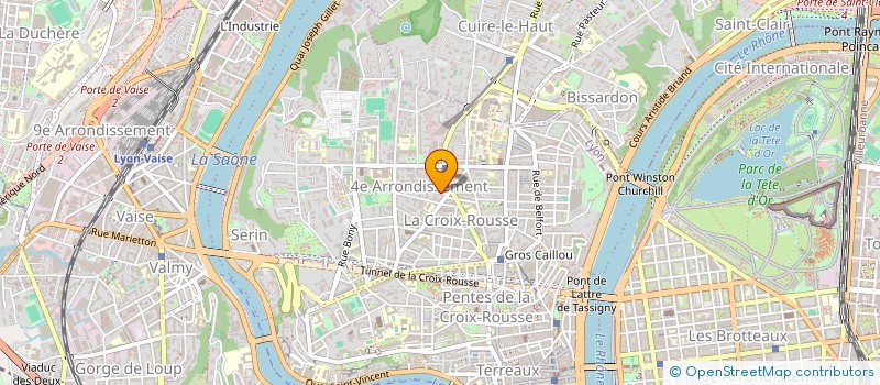 localisation de l'entreprise MADAME CATHERINE PERONNE à LYON