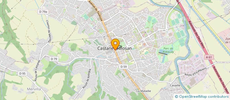 localisation de l'entreprise MADAME CATHERINE ROY  CASTANET-TOLOSAN