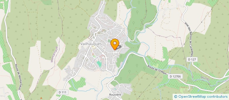 localisation de l'entreprise MADAME CATHERINE SALVAGNAC  VAILHAUQUES