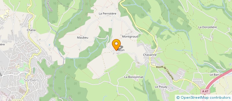 localisation de l'entreprise MADAME CATHY FRULEUX  SAINT-CHAMOND