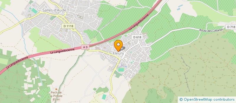 localisation de l'entreprise MADAME CATHY HENRY  FLEURY