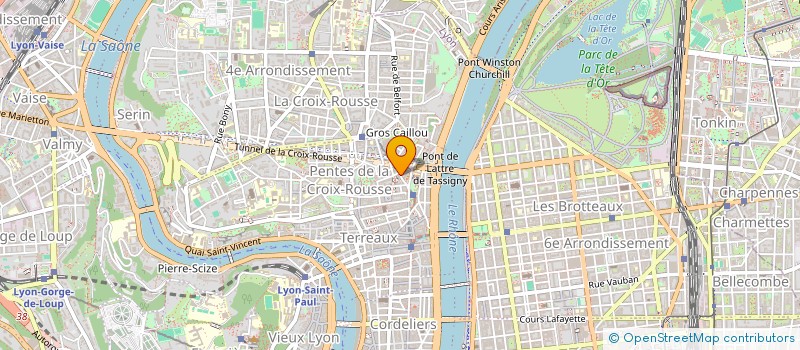 localisation de l'entreprise MADAME CECILE BERGER à LYON