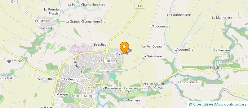 localisation de l'entreprise MADAME CECILE BERTHELOT  MOUCHAMPS